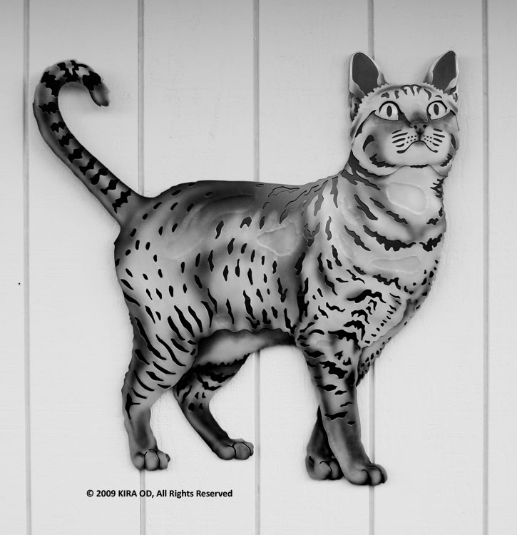 WEBCAT JPEGs X-LARGE/C-0_WebCat_XL_Big_Kahuna_PATINA_3892.jpg